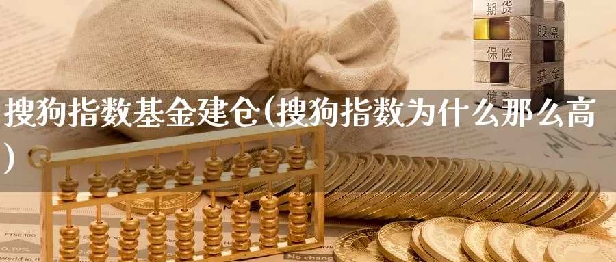 搜狗指数基金建仓(搜狗指数为什么那么高)_https://www.yicdns.com_基金投资_第1张