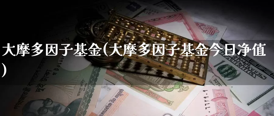 大摩多因子基金(大摩多因子基金今日净值)_https://www.yicdns.com_外汇市场_第1张