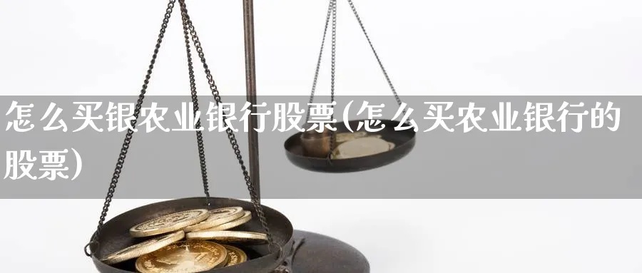 怎么买银农业银行股票(怎么买农业银行的股票)_https://www.yicdns.com_基金投资_第1张