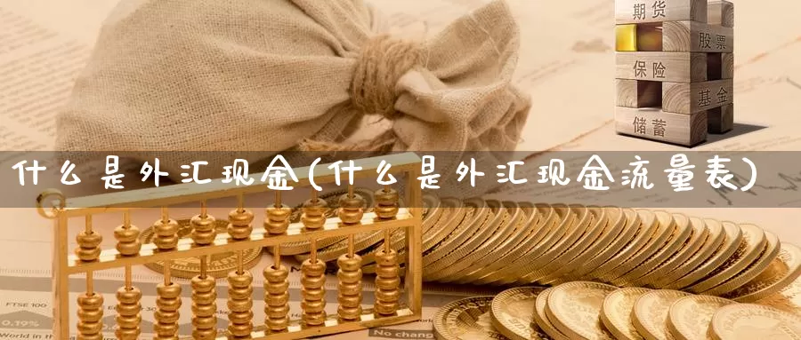 什么是外汇现金(什么是外汇现金流量表)_https://www.yicdns.com_外汇市场_第1张