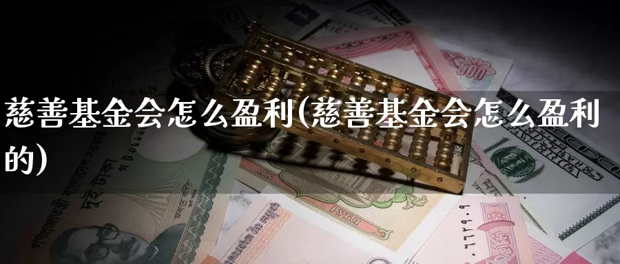 慈善基金会怎么盈利(慈善基金会怎么盈利的)_https://www.yicdns.com_外汇市场_第1张