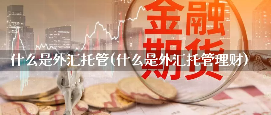 什么是外汇托管(什么是外汇托管理财)_https://www.yicdns.com_外汇市场_第1张