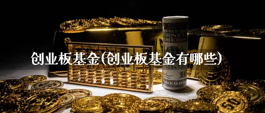 创业板基金(创业板基金有哪些)_https://www.yicdns.com_外汇市场_第1张