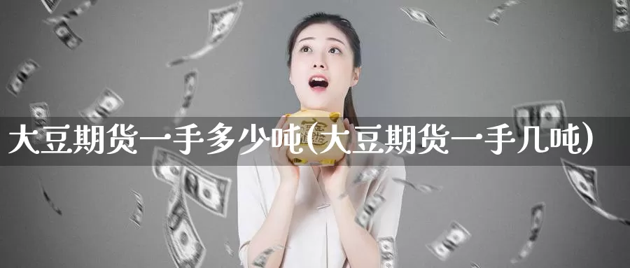 大豆期货一手多少吨(大豆期货一手几吨)_https://www.yicdns.com_基金投资_第1张