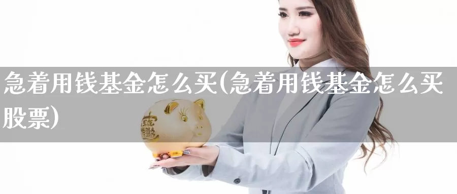 急着用钱基金怎么买(急着用钱基金怎么买股票)_https://www.yicdns.com_基金投资_第1张