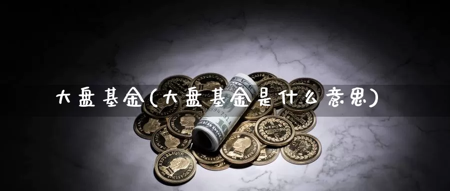 大盘基金(大盘基金是什么意思)_https://www.yicdns.com_外汇市场_第1张