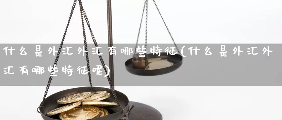 什么是外汇外汇有哪些特征(什么是外汇外汇有哪些特征呢)_https://www.yicdns.com_外汇市场_第1张