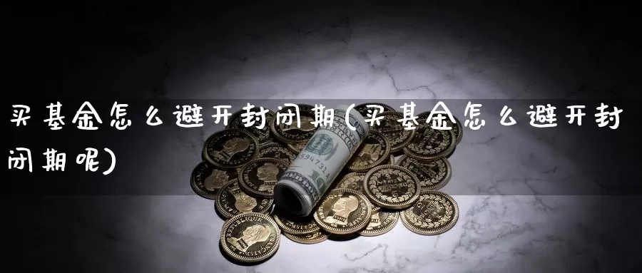 买基金怎么避开封闭期(买基金怎么避开封闭期呢)_https://www.yicdns.com_基金投资_第1张