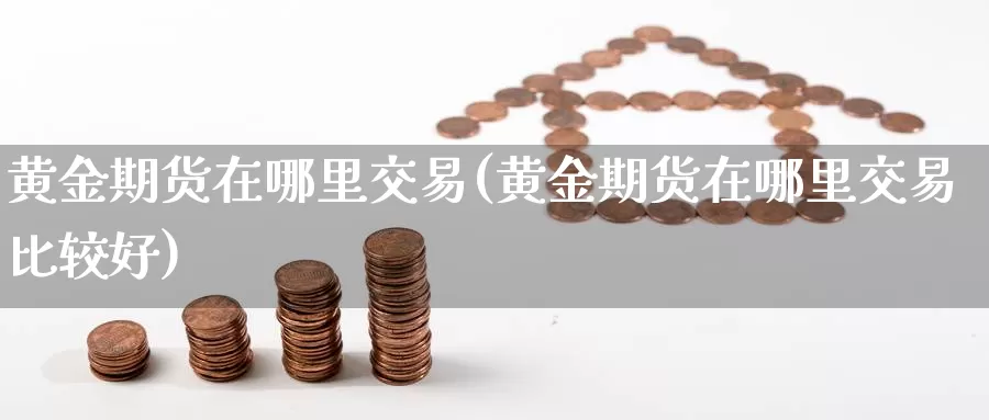 黄金期货在哪里交易(黄金期货在哪里交易比较好)_https://www.yicdns.com_基金投资_第1张