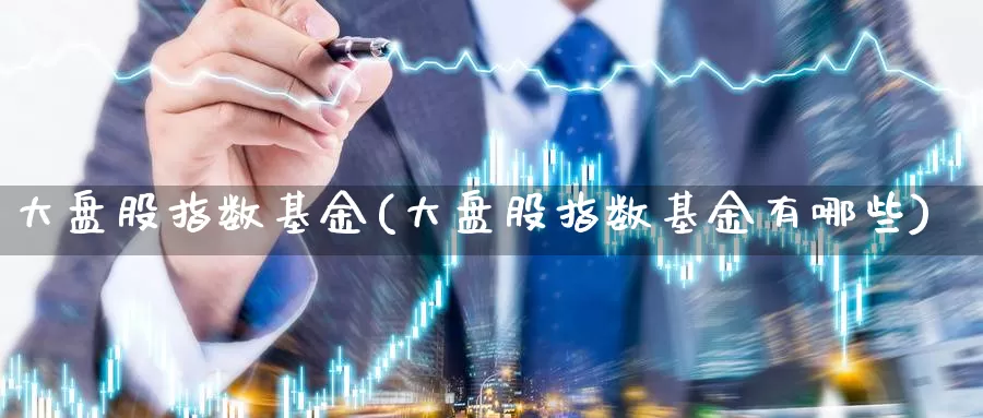 大盘股指数基金(大盘股指数基金有哪些)_https://www.yicdns.com_外汇市场_第1张