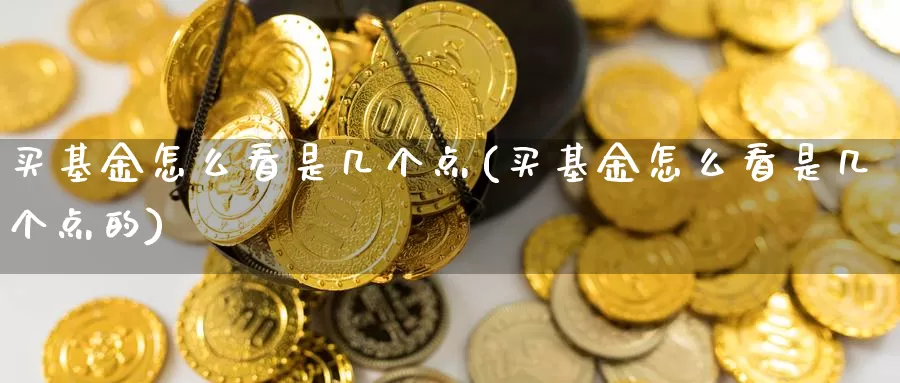 买基金怎么看是几个点(买基金怎么看是几个点的)_https://www.yicdns.com_基金投资_第1张