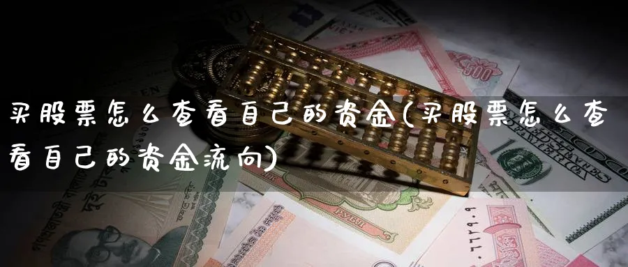 买股票怎么查看自己的资金(买股票怎么查看自己的资金流向)_https://www.yicdns.com_基金投资_第1张