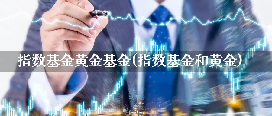 指数基金黄金基金(指数基金和黄金)_https://www.yicdns.com_基金投资_第1张