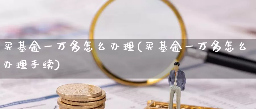 买基金一万多怎么办理(买基金一万多怎么办理手续)_https://www.yicdns.com_基金投资_第1张