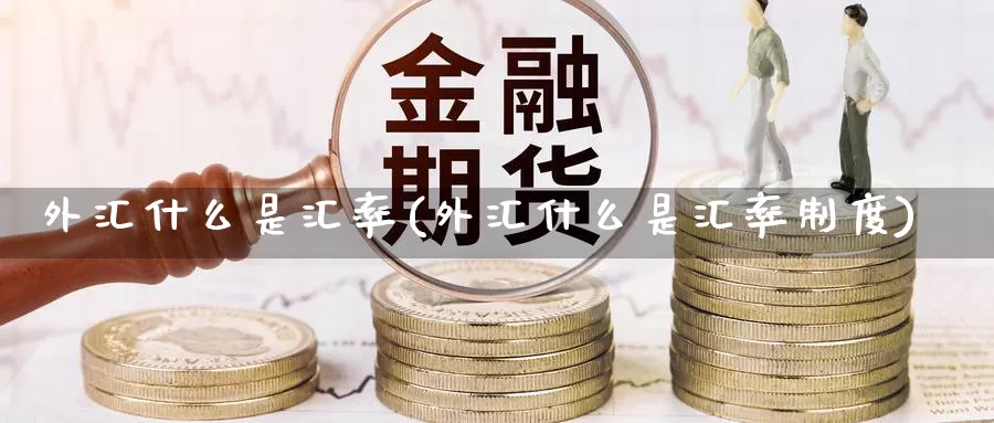 外汇什么是汇率(外汇什么是汇率制度)_https://www.yicdns.com_外汇市场_第1张