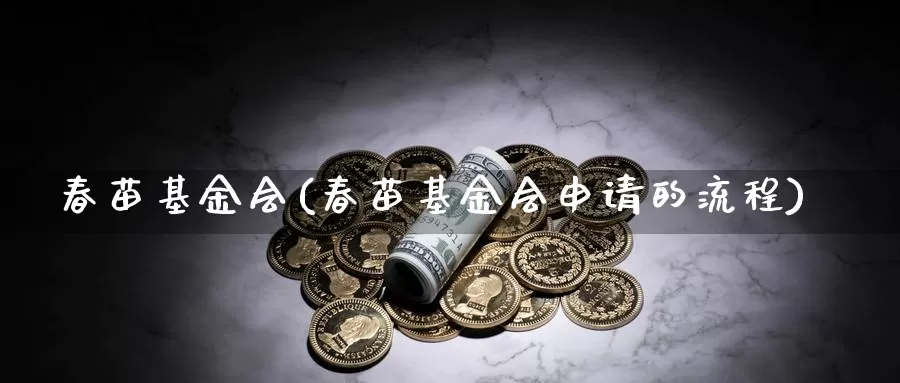 春苗基金会(春苗基金会申请的流程)_https://www.yicdns.com_外汇市场_第1张