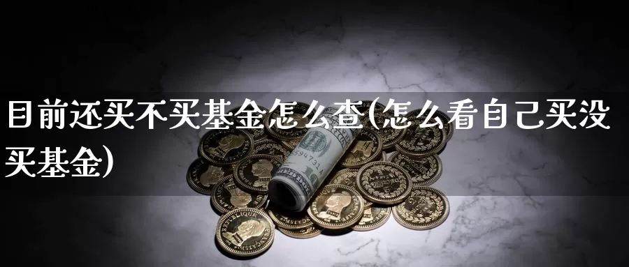 目前还买不买基金怎么查(怎么看自己买没买基金)_https://www.yicdns.com_基金投资_第1张