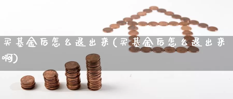 买基金后怎么退出来(买基金后怎么退出来啊)_https://www.yicdns.com_基金投资_第1张