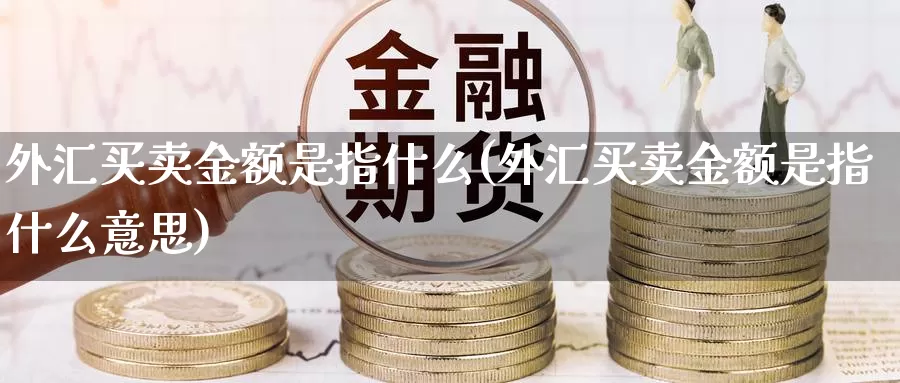 外汇买卖金额是指什么(外汇买卖金额是指什么意思)_https://www.yicdns.com_外汇市场_第1张