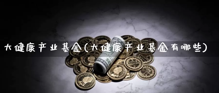 大健康产业基金(大健康产业基金有哪些)_https://www.yicdns.com_外汇市场_第1张