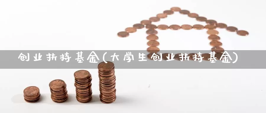 创业扶持基金(大学生创业扶持基金)_https://www.yicdns.com_外汇市场_第1张