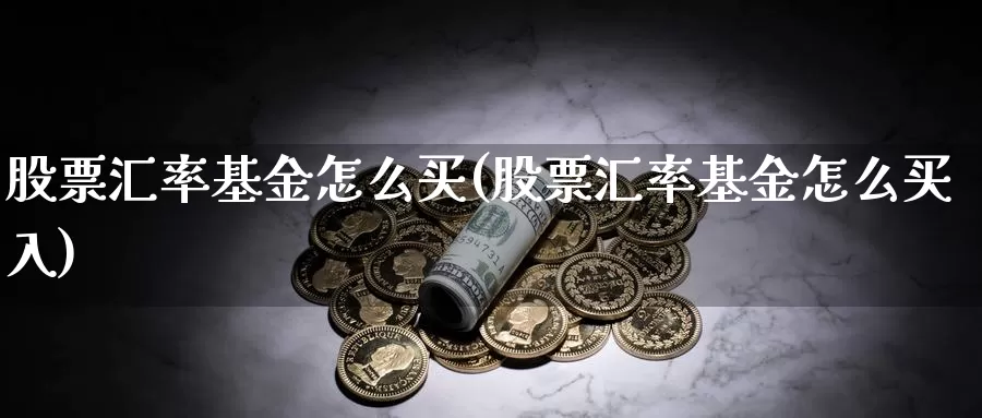 股票汇率基金怎么买(股票汇率基金怎么买入)_https://www.yicdns.com_基金投资_第1张