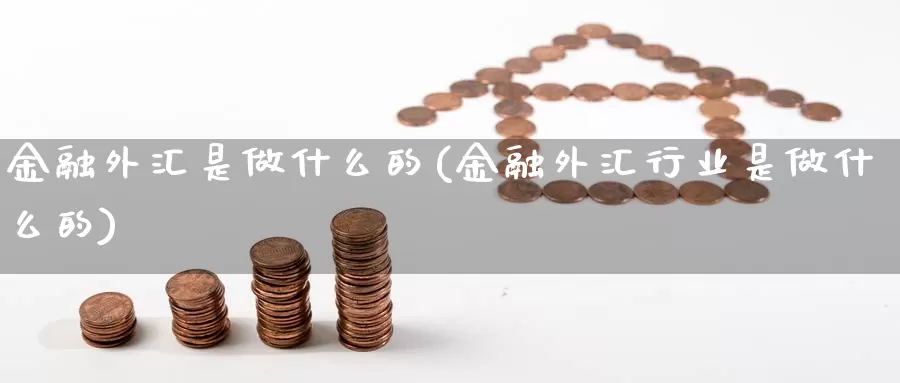 金融外汇是做什么的(金融外汇行业是做什么的)_https://www.yicdns.com_外汇市场_第1张