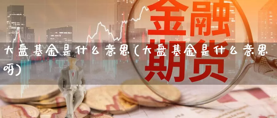 大盘基金是什么意思(大盘基金是什么意思呀)_https://www.yicdns.com_外汇市场_第1张