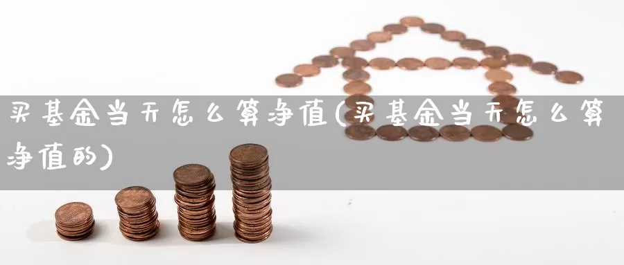 买基金当天怎么算净值(买基金当天怎么算净值的)_https://www.yicdns.com_基金投资_第1张