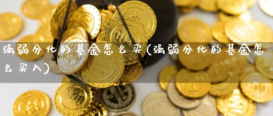 强弱分化的基金怎么买(强弱分化的基金怎么买入)_https://www.yicdns.com_基金投资_第1张