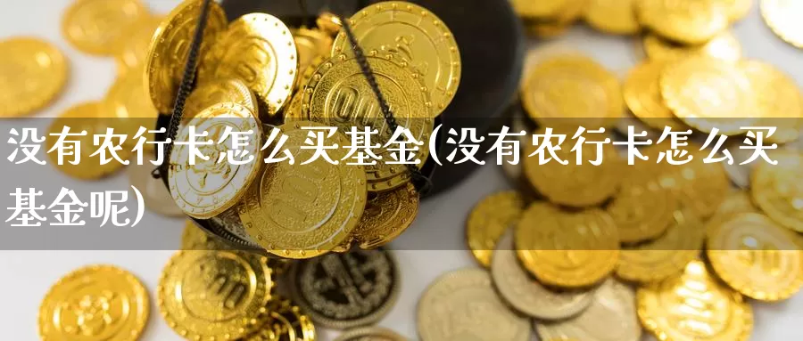 没有农行卡怎么买基金(没有农行卡怎么买基金呢)_https://www.yicdns.com_基金投资_第1张