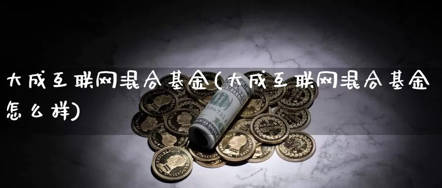 大成互联网混合基金(大成互联网混合基金怎么样)_https://www.yicdns.com_外汇市场_第1张