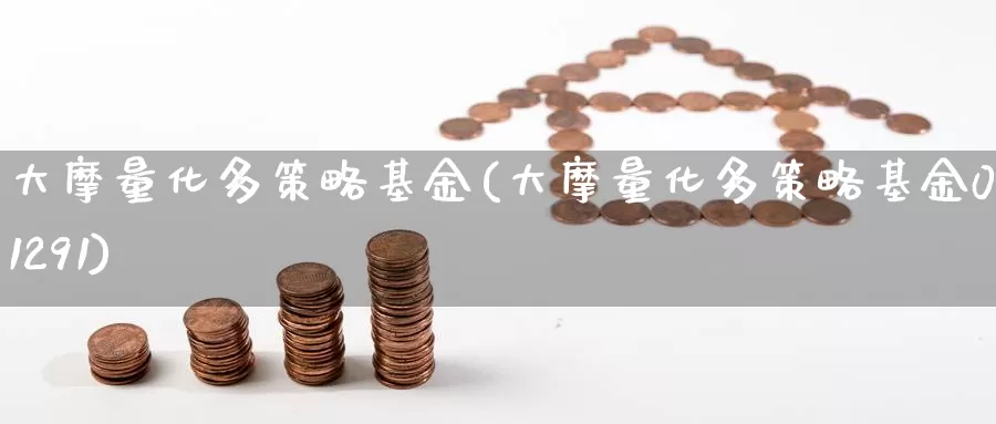 大摩量化多策略基金(大摩量化多策略基金001291)_https://www.yicdns.com_外汇市场_第1张