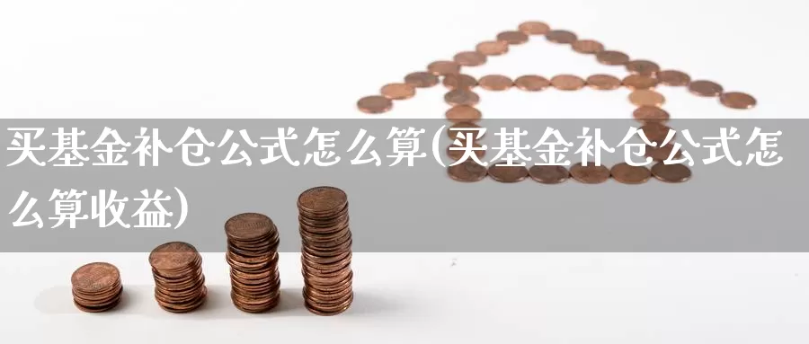 买基金补仓公式怎么算(买基金补仓公式怎么算收益)_https://www.yicdns.com_基金投资_第1张