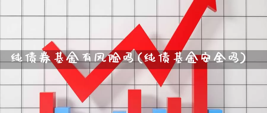 纯债券基金有风险吗(纯债基金安全吗)_https://www.yicdns.com_外汇市场_第1张