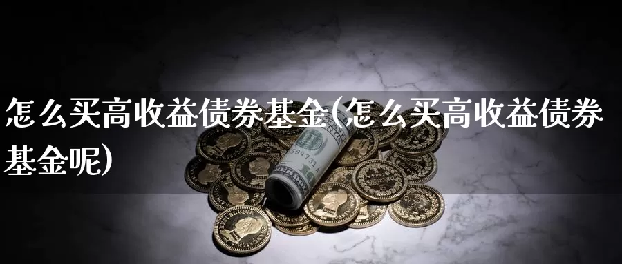 怎么买高收益债券基金(怎么买高收益债券基金呢)_https://www.yicdns.com_基金投资_第1张