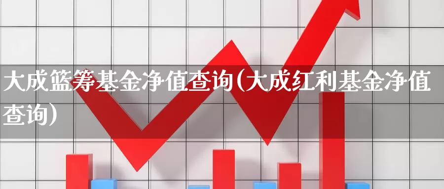 大成篮筹基金净值查询(大成红利基金净值查询)_https://www.yicdns.com_外汇市场_第1张