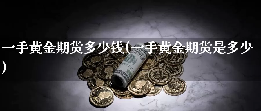 一手黄金期货多少钱(一手黄金期货是多少)_https://www.yicdns.com_股票入门_第1张