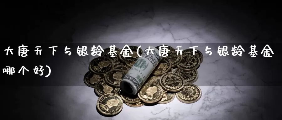 大唐天下与银龄基金(大唐天下与银龄基金哪个好)_https://www.yicdns.com_外汇市场_第1张