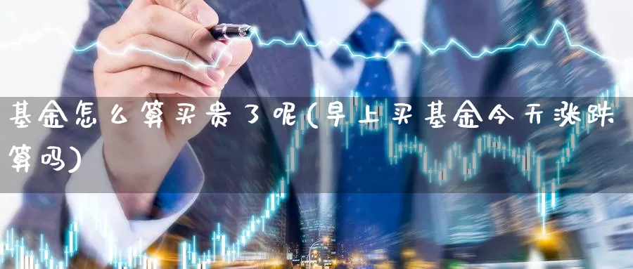 基金怎么算买贵了呢(早上买基金今天涨跌算吗)_https://www.yicdns.com_基金投资_第1张