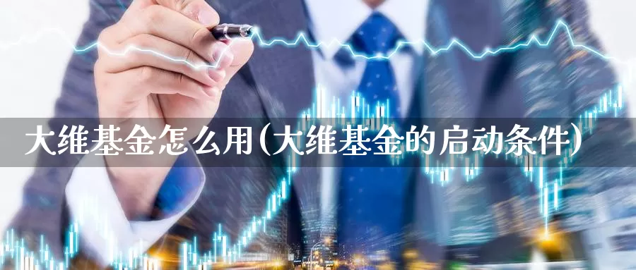 大维基金怎么用(大维基金的启动条件)_https://www.yicdns.com_外汇市场_第1张