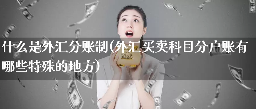 什么是外汇分账制(外汇买卖科目分户账有哪些特殊的地方)_https://www.yicdns.com_外汇市场_第1张