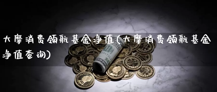 大摩消费领航基金净值(大摩消费领航基金净值查询)_https://www.yicdns.com_外汇市场_第1张