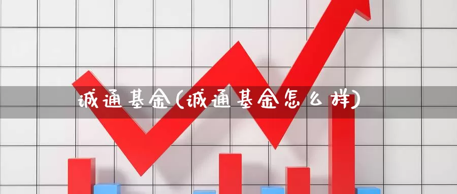 诚通基金(诚通基金怎么样)_https://www.yicdns.com_外汇市场_第1张