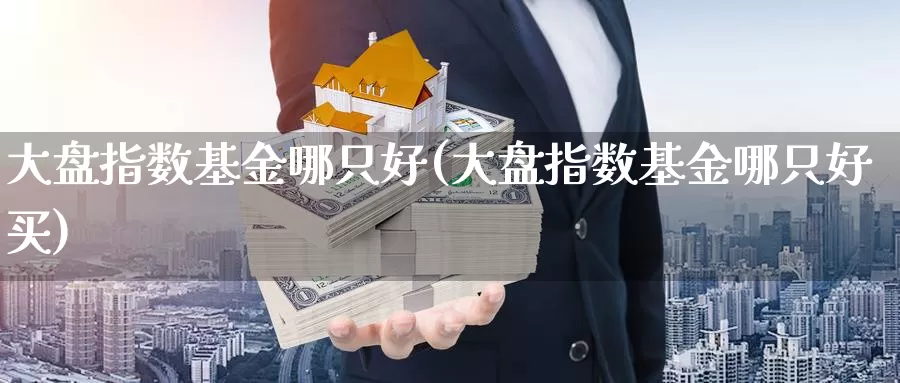 大盘指数基金哪只好(大盘指数基金哪只好买)_https://www.yicdns.com_外汇市场_第1张