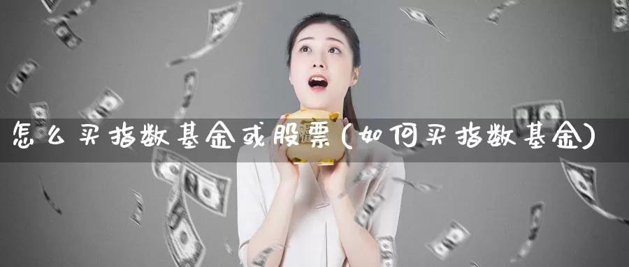 怎么买指数基金或股票(如何买指数基金)_https://www.yicdns.com_基金投资_第1张