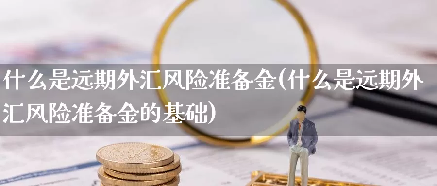 什么是远期外汇风险准备金(什么是远期外汇风险准备金的基础)_https://www.yicdns.com_外汇市场_第1张