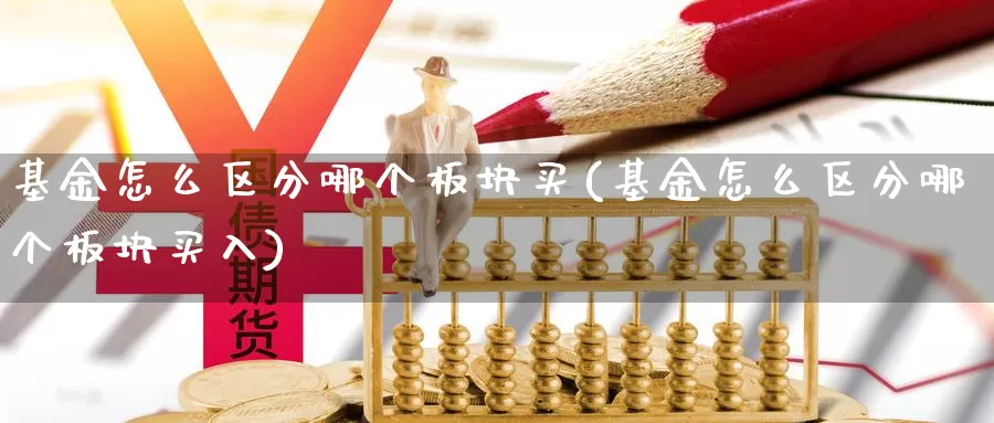 基金怎么区分哪个板块买(基金怎么区分哪个板块买入)_https://www.yicdns.com_基金投资_第1张