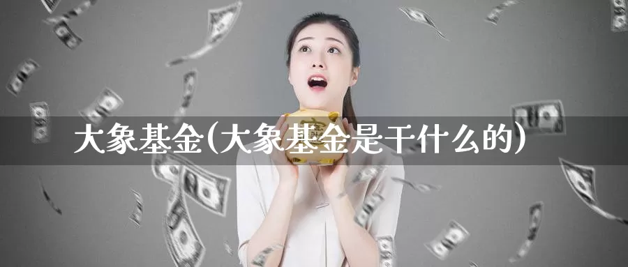 大象基金(大象基金是干什么的)_https://www.yicdns.com_外汇市场_第1张