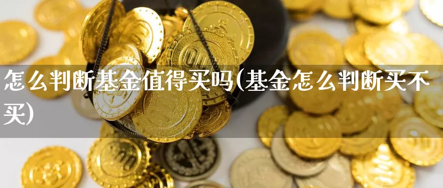 怎么判断基金值得买吗(基金怎么判断买不买)_https://www.yicdns.com_基金投资_第1张